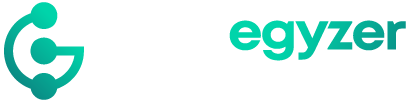 Loanegyzer